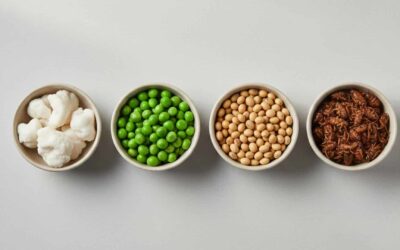 Food Trends for 2026: Why Alternative Proteins Are Gaining Real Momentum